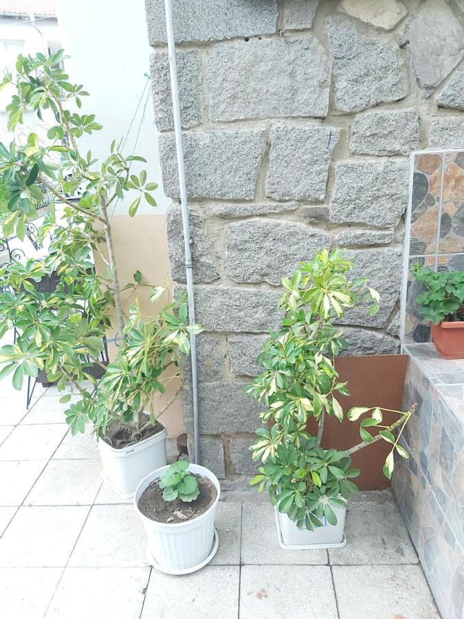 Kyshta Za Gosti Dari Rumi 1 Szozopol Kültér fotó